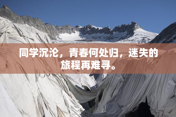 同学沉沦，青春何处归，迷失的旅程再难寻。