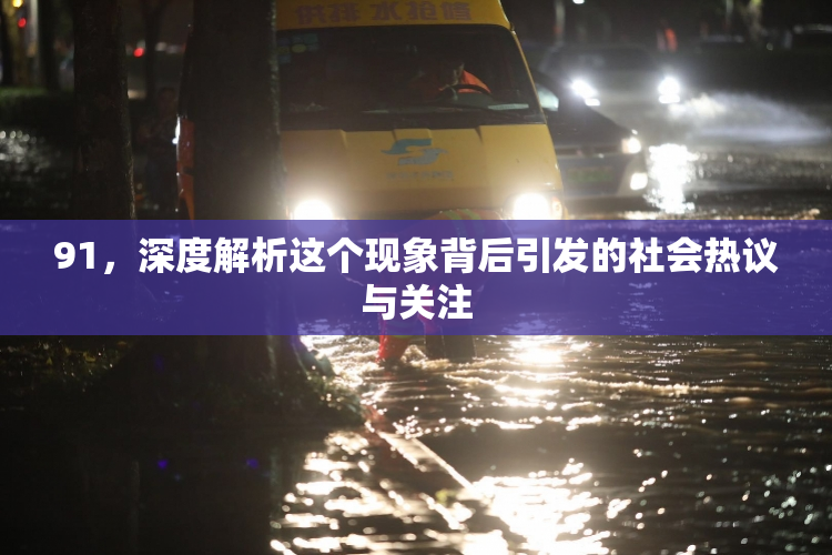 91，深度解析这个现象背后引发的社会热议与关注