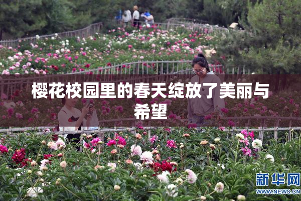 樱花校园里的春天绽放了美丽与希望