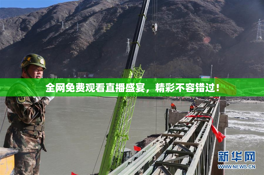 全网免费观看直播盛宴，精彩不容错过！