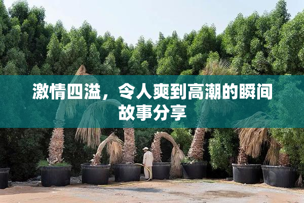 激情四溢，令人爽到高潮的瞬间故事分享