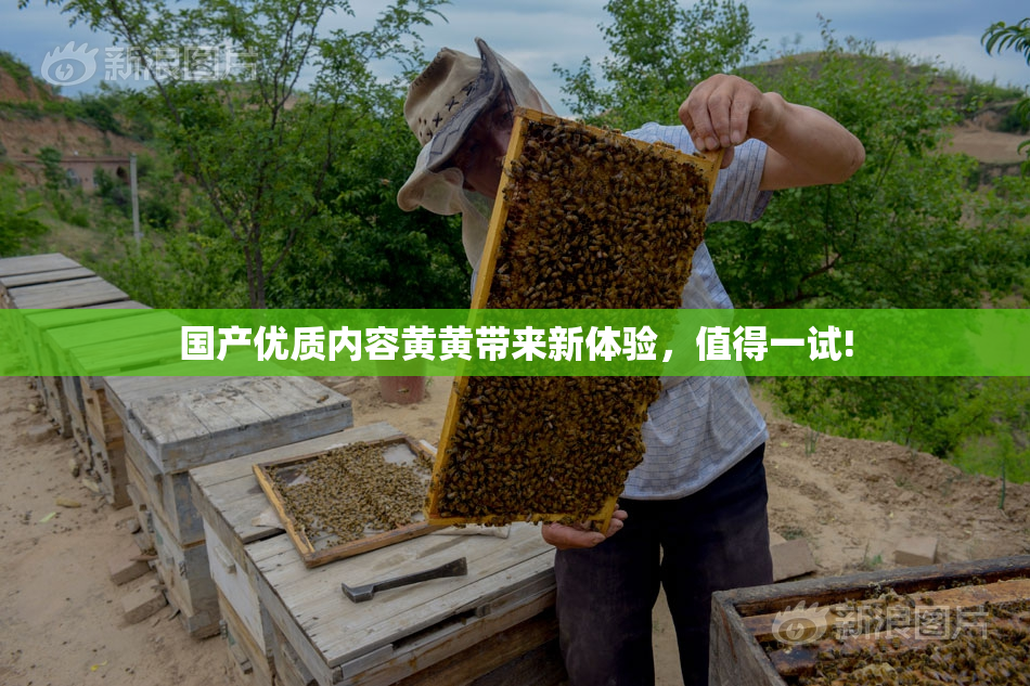 国产优质内容黄黄带来新体验，值得一试!