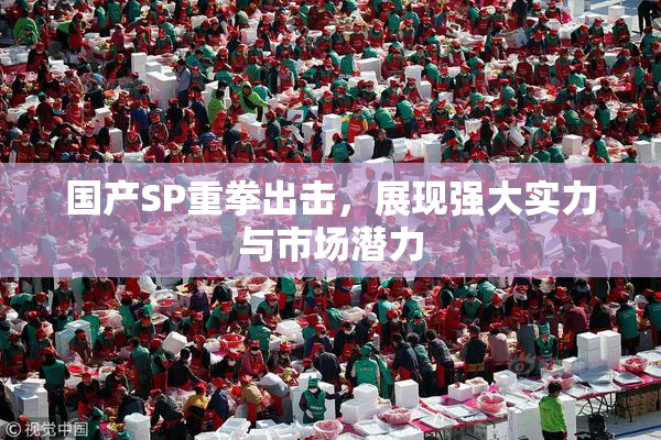 国产SP重拳出击，展现强大实力与市场潜力