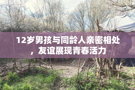 12岁男孩与同龄人亲密相处，友谊展现青春活力