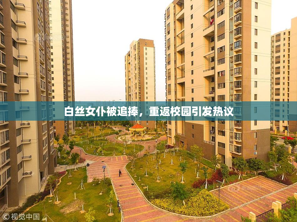 白丝女仆被追捧，重返校园引发热议
