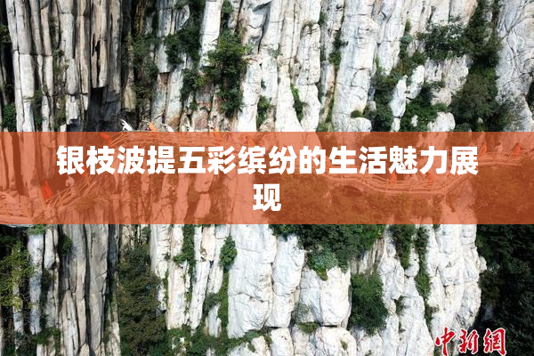 银枝波提五彩缤纷的生活魅力展现