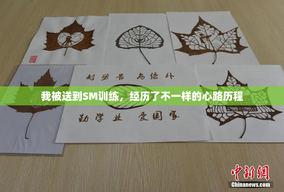 我被送到SM训练，经历了不一样的心路历程