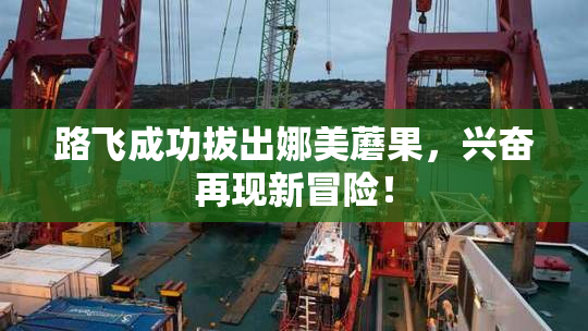 路飞成功拔出娜美蘑果，兴奋再现新冒险！
