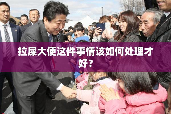 拉屎大便这件事情该如何处理才好？