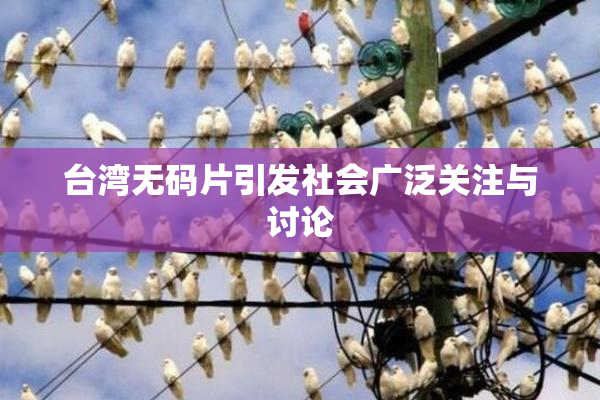 台湾无码片引发社会广泛关注与讨论