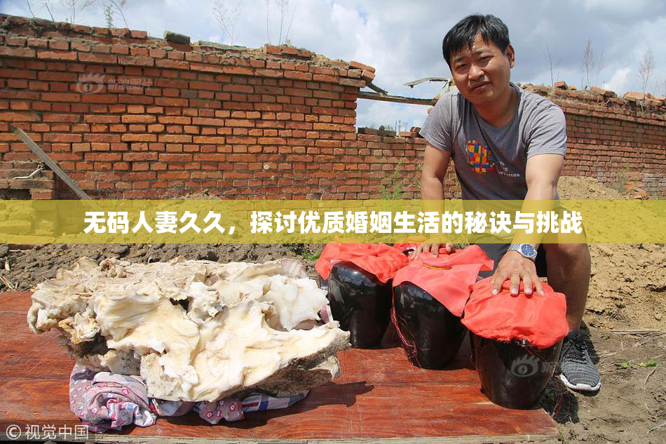 无码人妻久久，探讨优质婚姻生活的秘诀与挑战