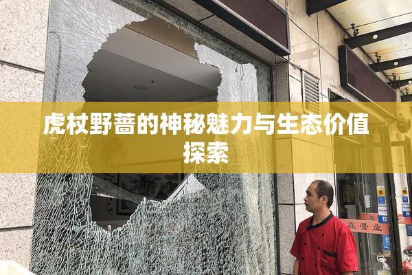 虎杖野蔷的神秘魅力与生态价值探索