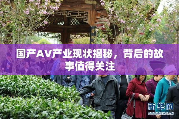 国产AV产业现状揭秘，背后的故事值得关注