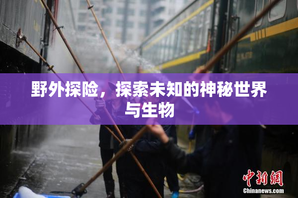 野外探险，探索未知的神秘世界与生物
