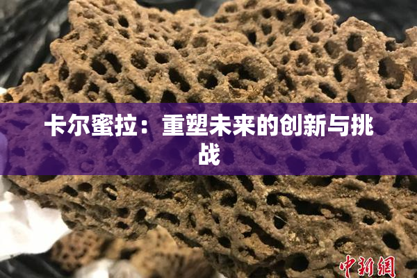 卡尔蜜拉：重塑未来的创新与挑战