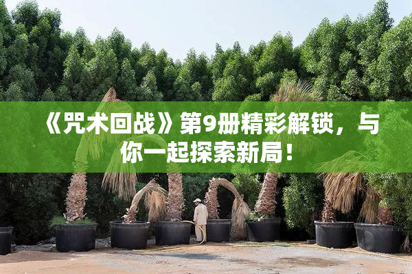 《咒术回战》第9册精彩解锁，与你一起探索新局！