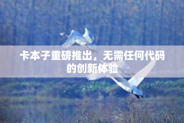 卡本子重磅推出，无需任何代码的创新体验