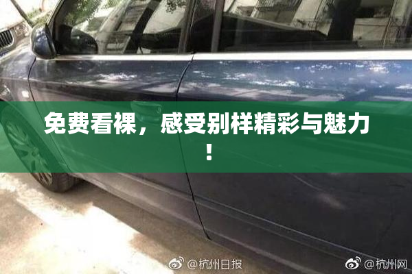 免费看裸，感受别样精彩与魅力！