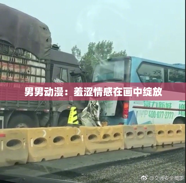 男男动漫：羞涩情感在画中绽放