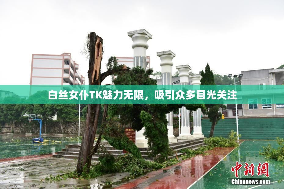 白丝女仆TK魅力无限，吸引众多目光关注