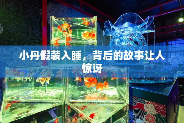 小丹假装入睡，背后的故事让人惊讶