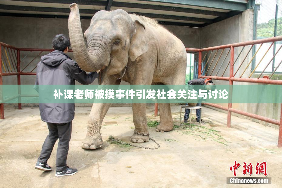 补课老师被摸事件引发社会关注与讨论