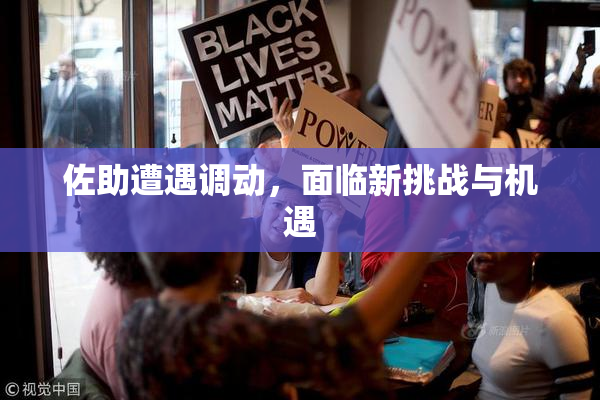 佐助遭遇调动，面临新挑战与机遇