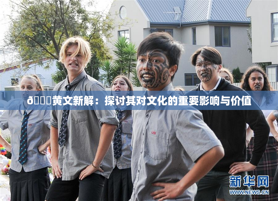 🔞黄文新解：探讨其对文化的重要影响与价值