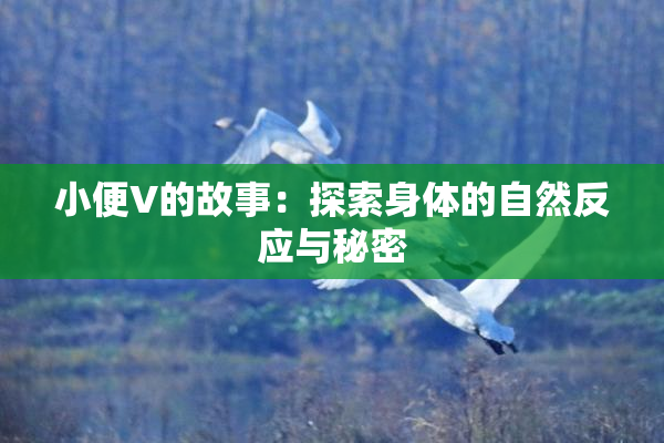 小便V的故事：探索身体的自然反应与秘密