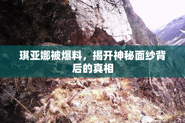 琪亚娜被爆料，揭开神秘面纱背后的真相