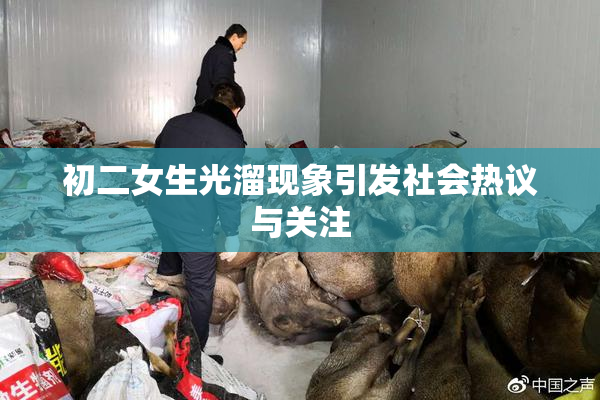 初二女生光溜现象引发社会热议与关注