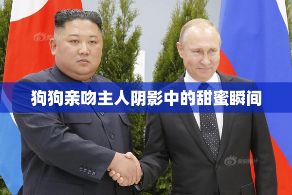 狗狗亲吻主人阴影中的甜蜜瞬间