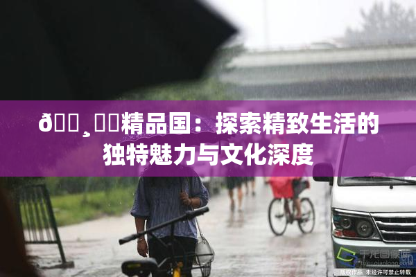 🌸‌✿精品国：探索精致生活的独特魅力与文化深度