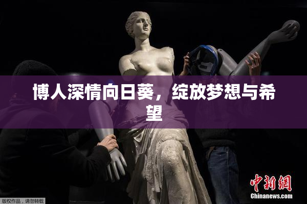 博人深情向日葵，绽放梦想与希望