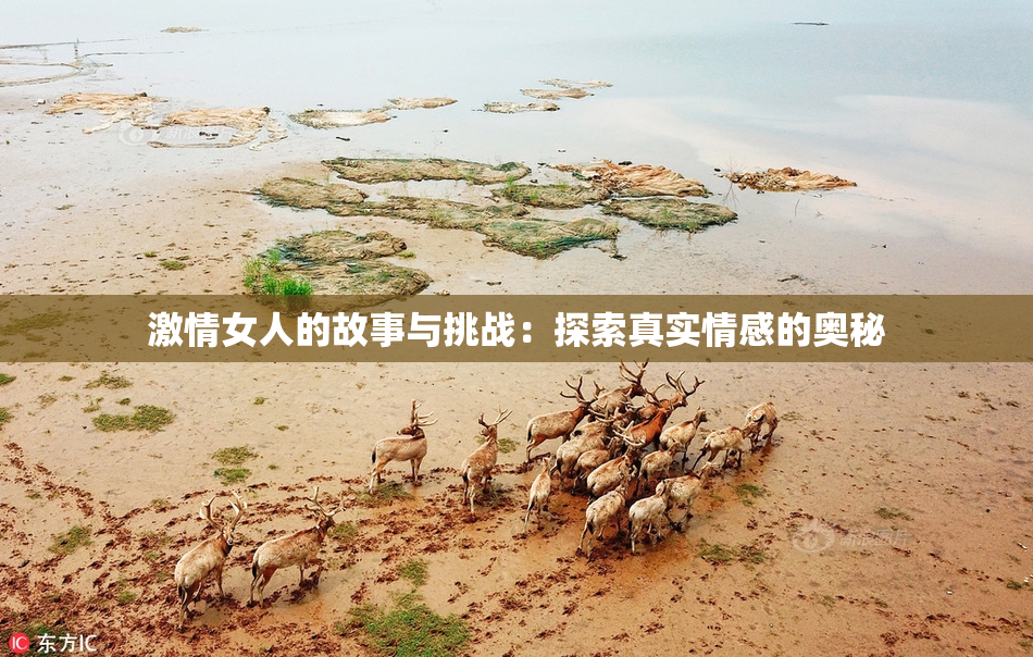 激情女人的故事与挑战：探索真实情感的奥秘
