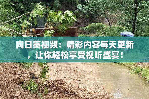 向日葵视频：精彩内容每天更新，让你轻松享受视听盛宴！