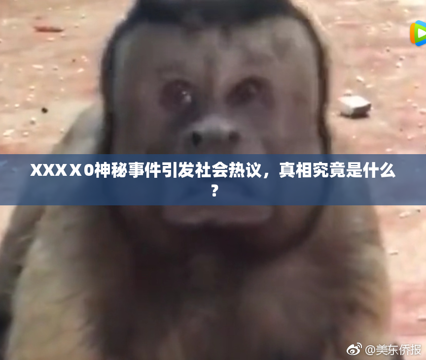 XXXⅩ0神秘事件引发社会热议，真相究竟是什么？