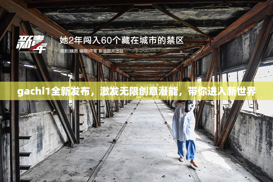 gachi1全新发布，激发无限创意潜能，带你进入新世界