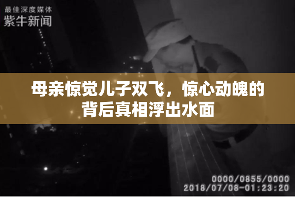 母亲惊觉儿子双飞，惊心动魄的背后真相浮出水面
