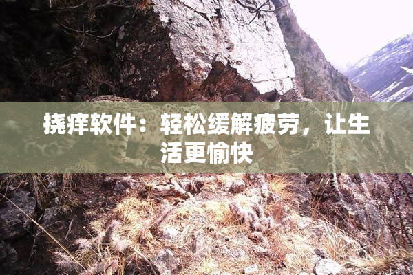 挠痒软件：轻松缓解疲劳，让生活更愉快