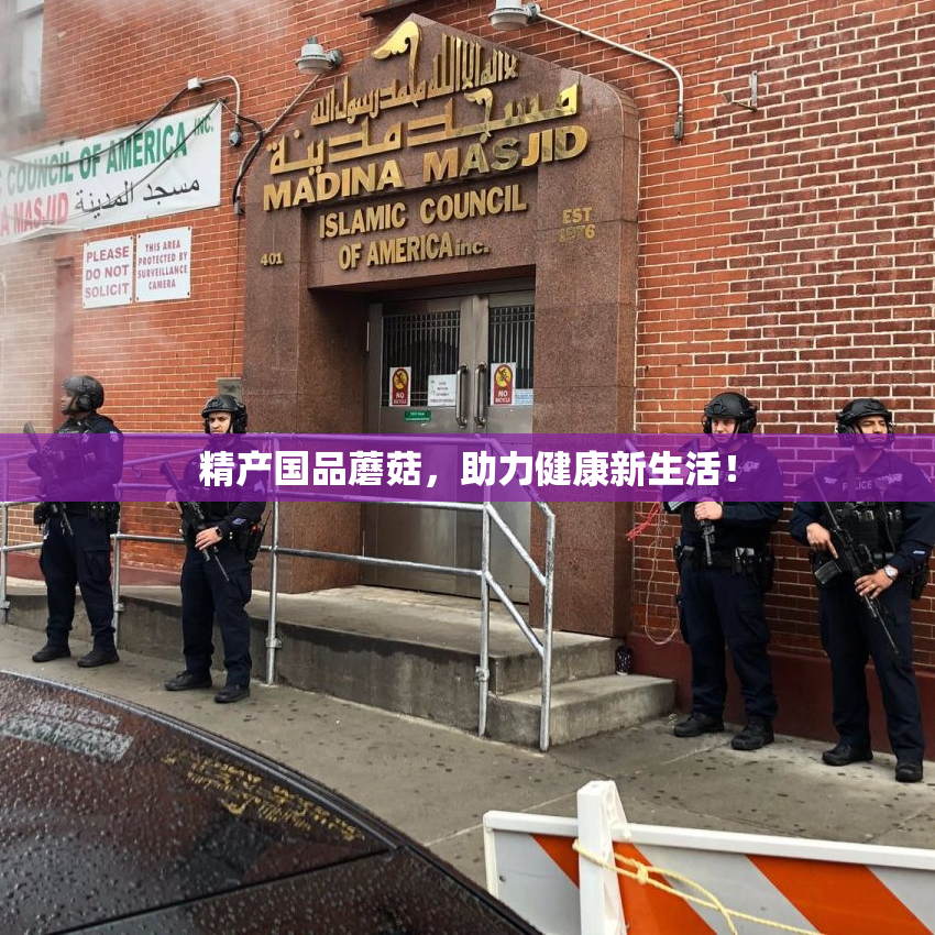 精产国品蘑菇，助力健康新生活！
