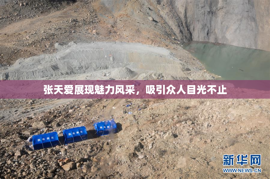 张天爱展现魅力风采，吸引众人目光不止
