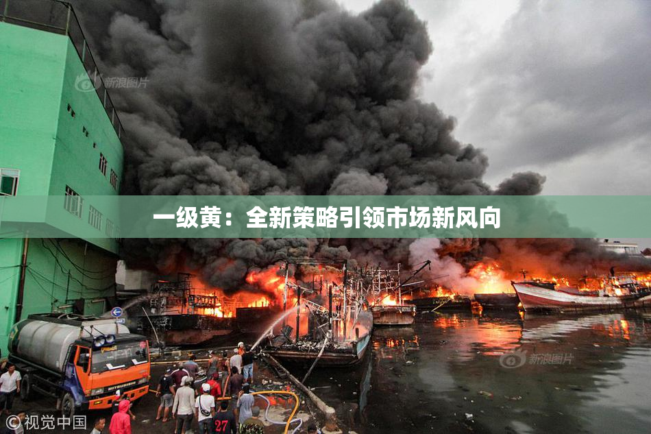 一级黄：全新策略引领市场新风向