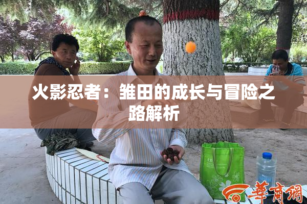 火影忍者：雏田的成长与冒险之路解析