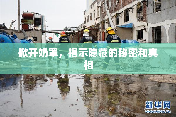 掀开奶罩，揭示隐藏的秘密和真相