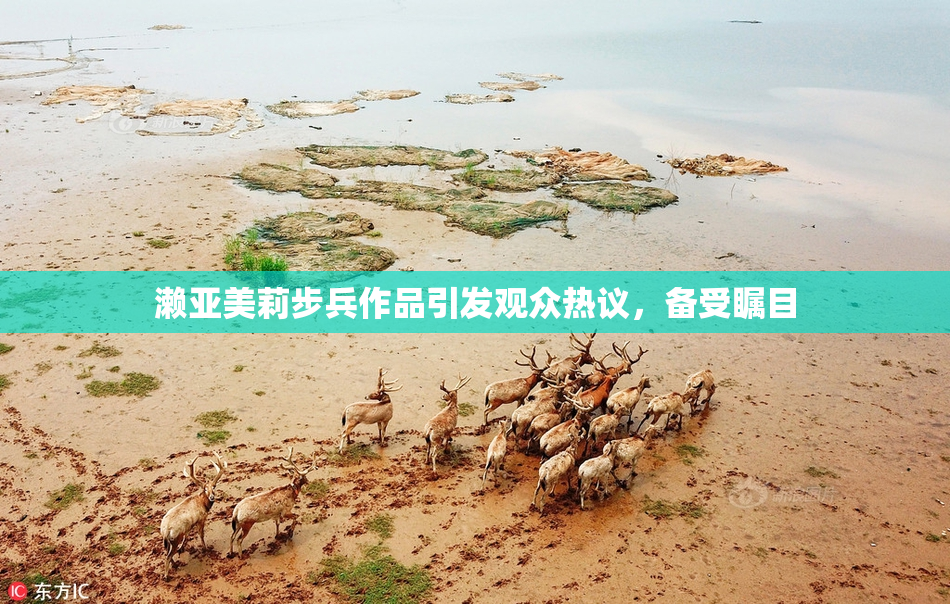 濑亚美莉步兵作品引发观众热议，备受瞩目