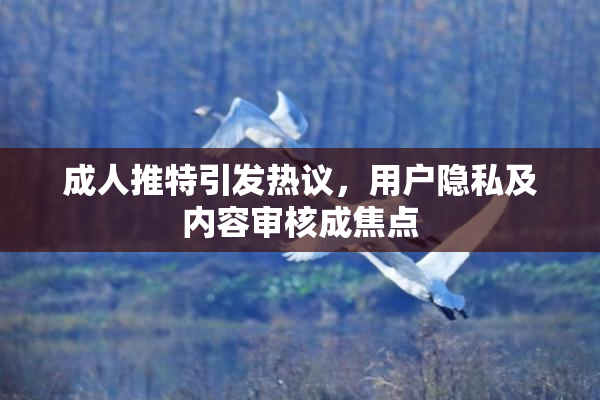 成人推特引发热议，用户隐私及内容审核成焦点