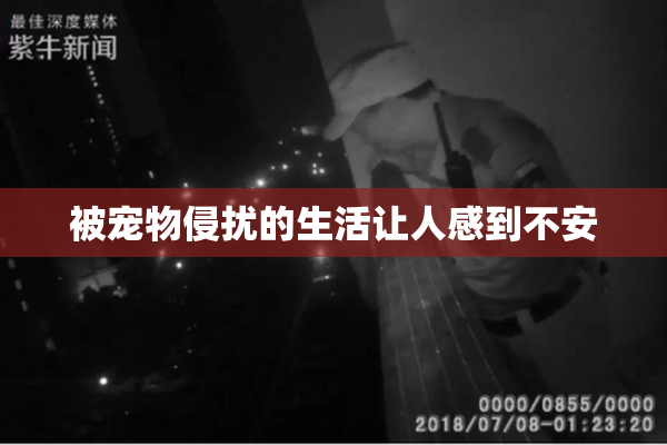 被宠物侵扰的生活让人感到不安