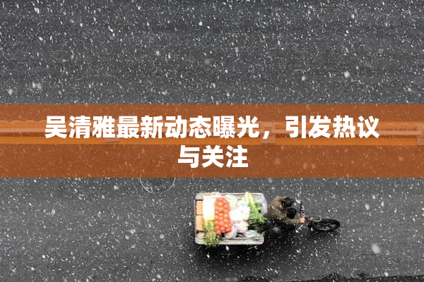 吴清雅最新动态曝光，引发热议与关注