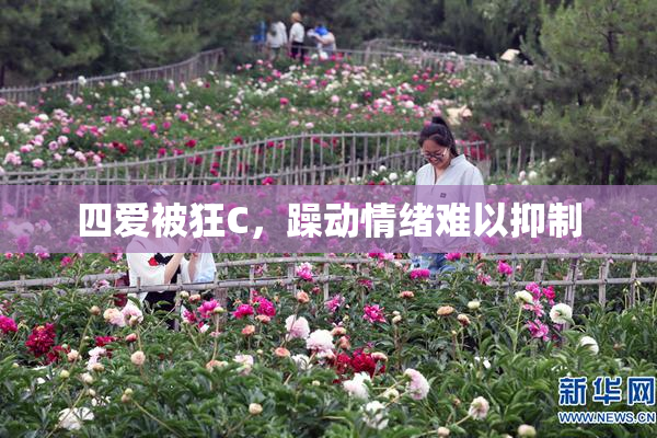 四爱被狂C，躁动情绪难以抑制